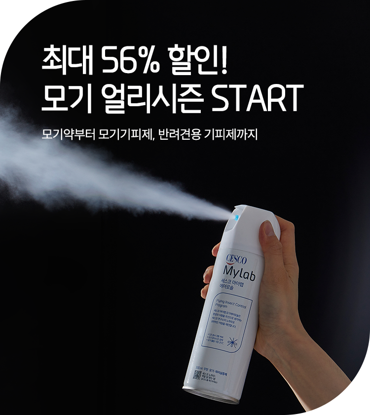 메인비주얼 이미지