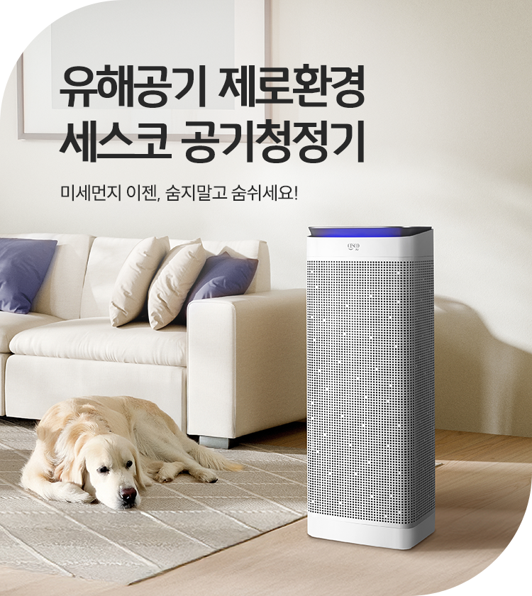 메인비주얼 이미지