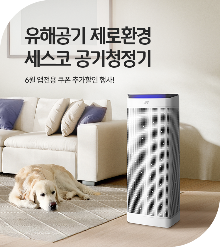 메인비주얼 이미지