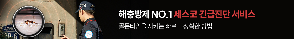 긴급진단 