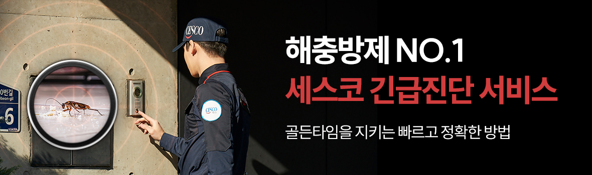 긴급진단 