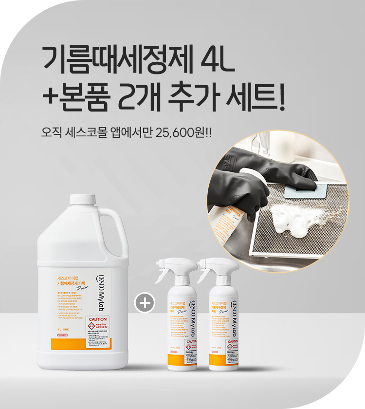 메인비주얼 이미지