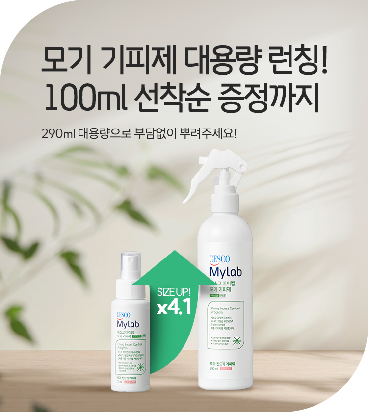 메인비주얼 이미지