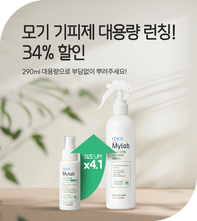 메인비주얼 이미지