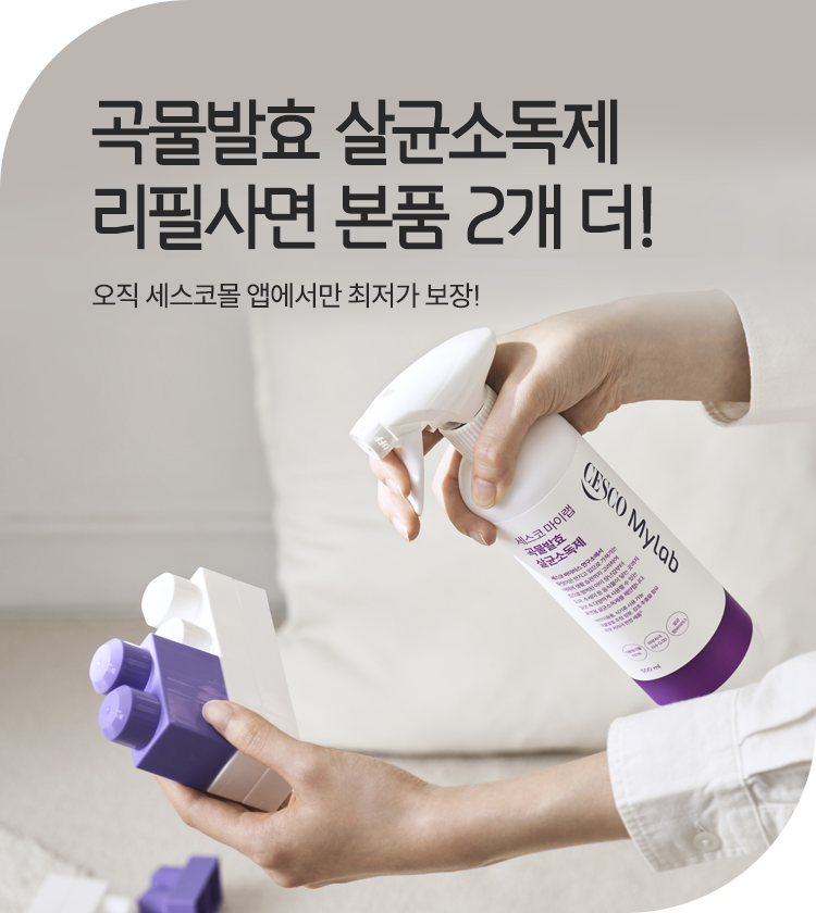 메인비주얼 이미지