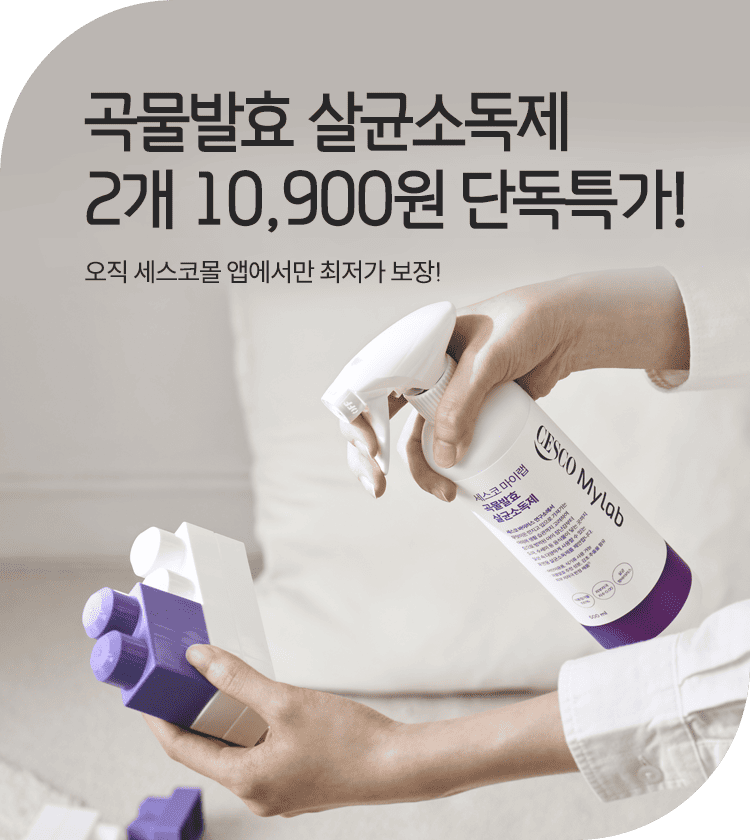 메인비주얼 이미지