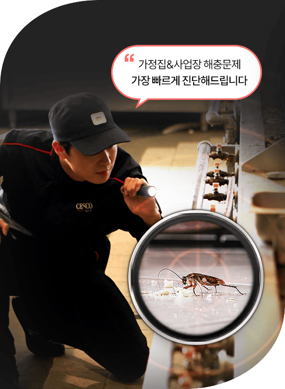 메인비주얼 이미지