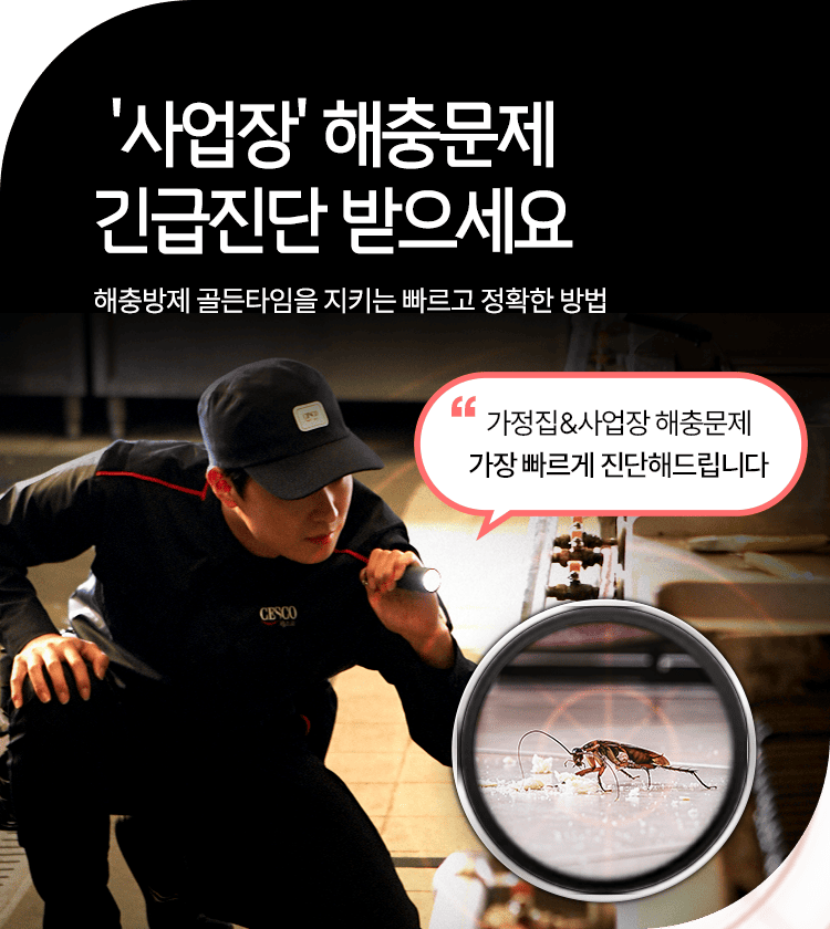 메인비주얼 이미지