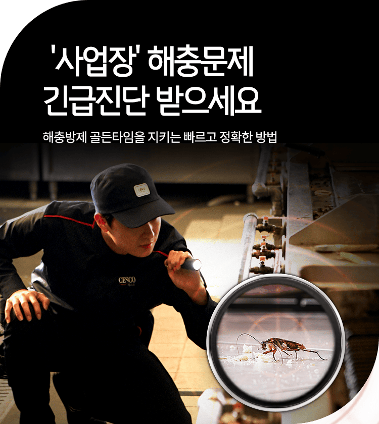 메인비주얼 이미지
