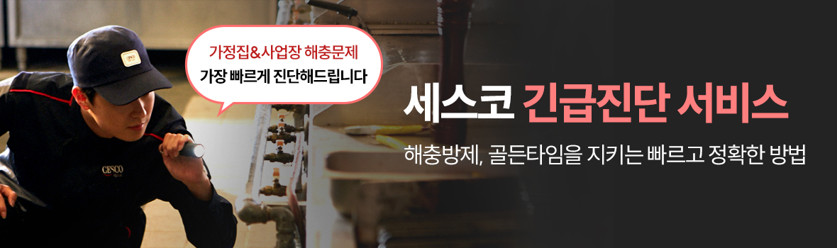 세스코 긴급진단