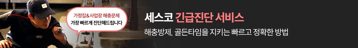 세스코 긴급진단
