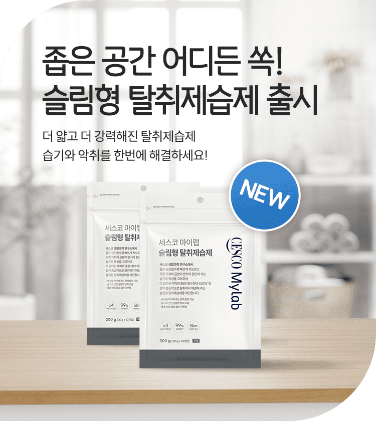 메인비주얼 이미지