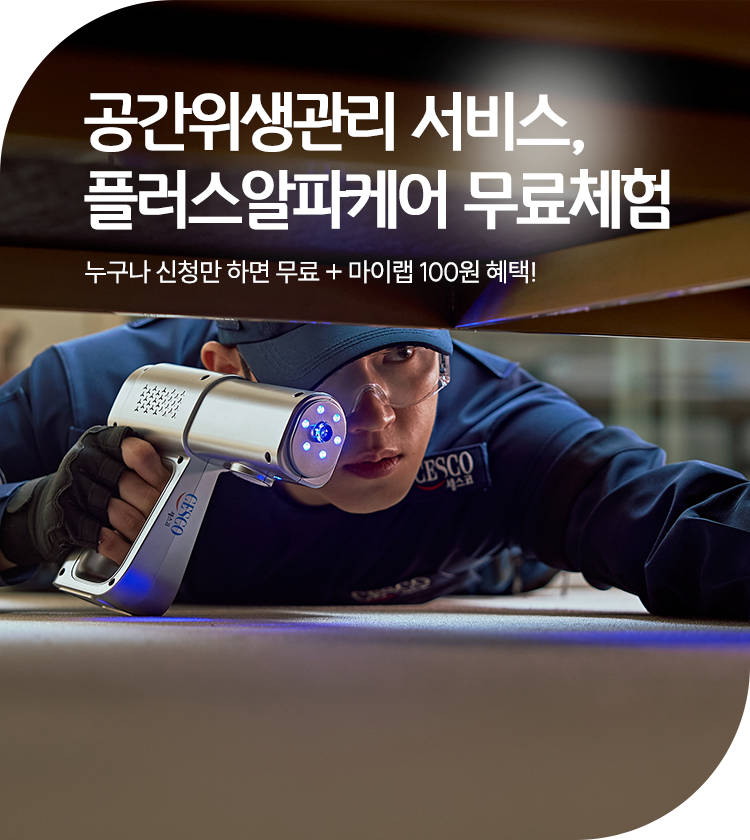 메인비주얼 이미지