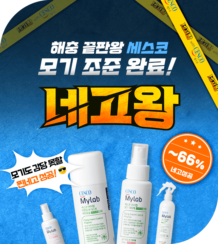 메인비주얼 이미지