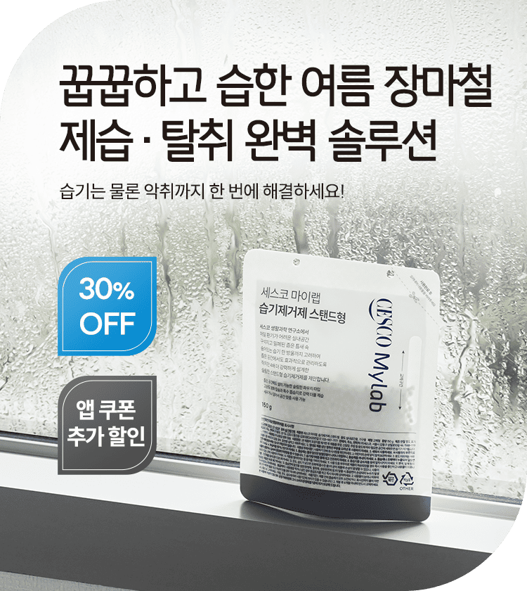 메인비주얼 이미지