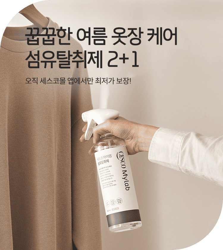 메인비주얼 이미지