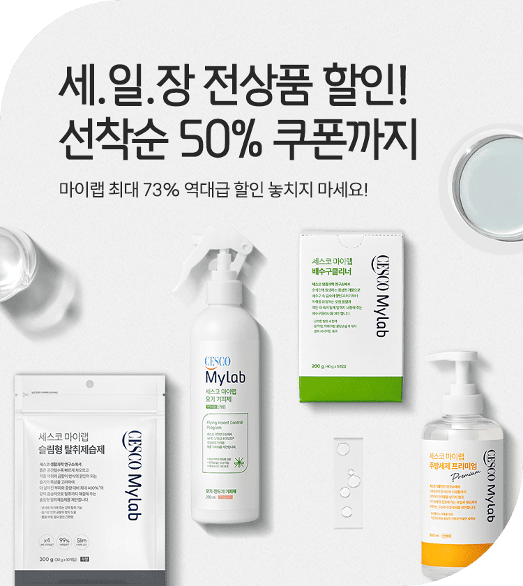메인비주얼 이미지