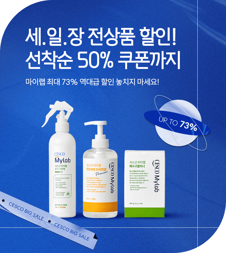 메인비주얼 이미지