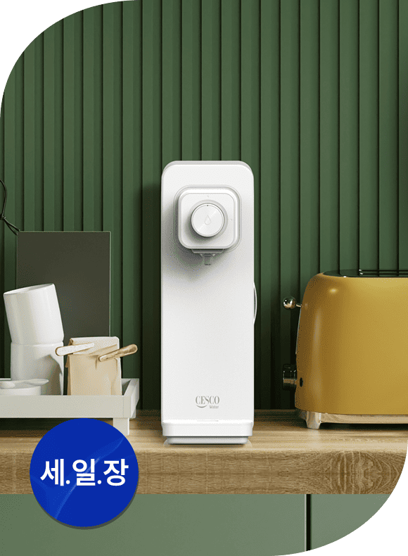 메인비주얼 이미지