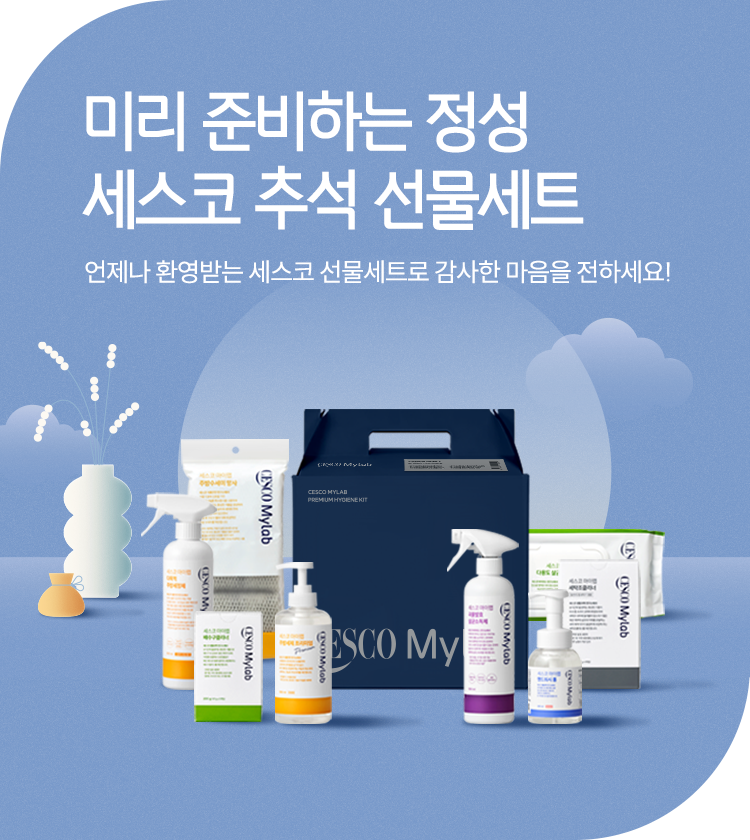 메인비주얼 이미지