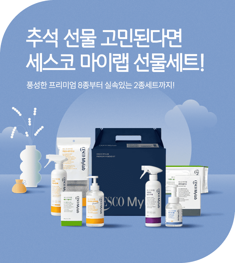 메인비주얼 이미지