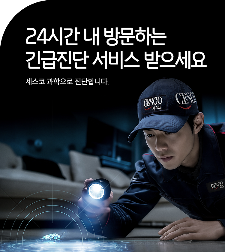 메인비주얼 이미지