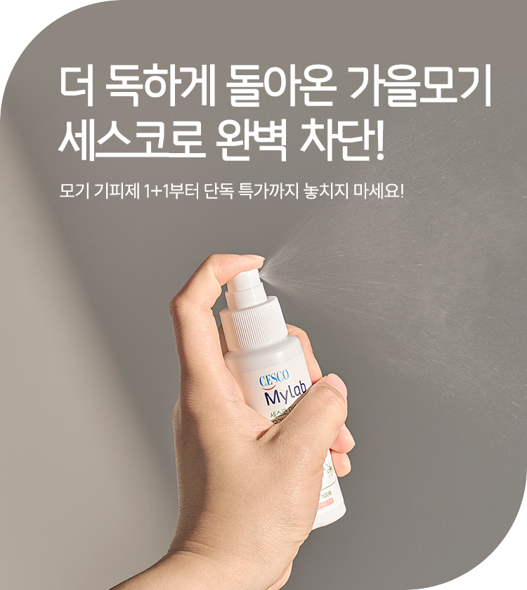 메인비주얼 이미지