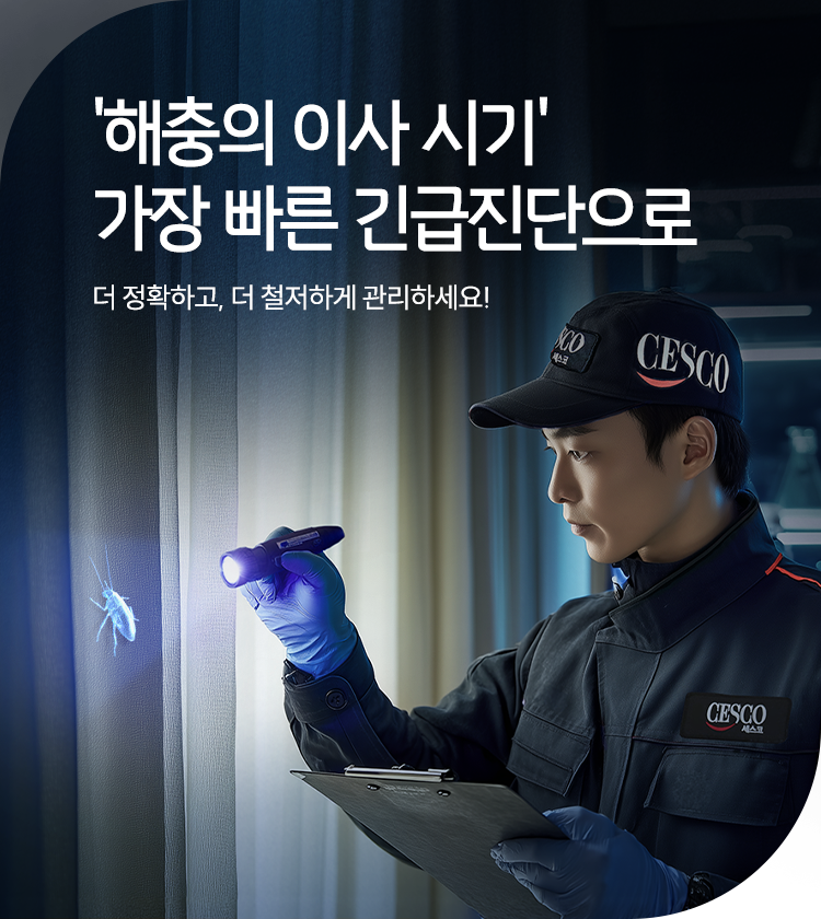 메인비주얼 이미지