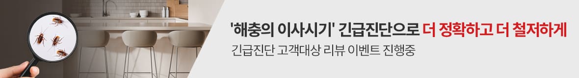 긴급진단 리뷰이벤트 해충의 이사시기