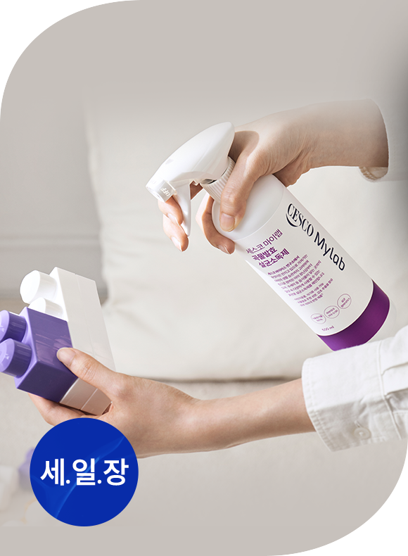 메인비주얼 이미지