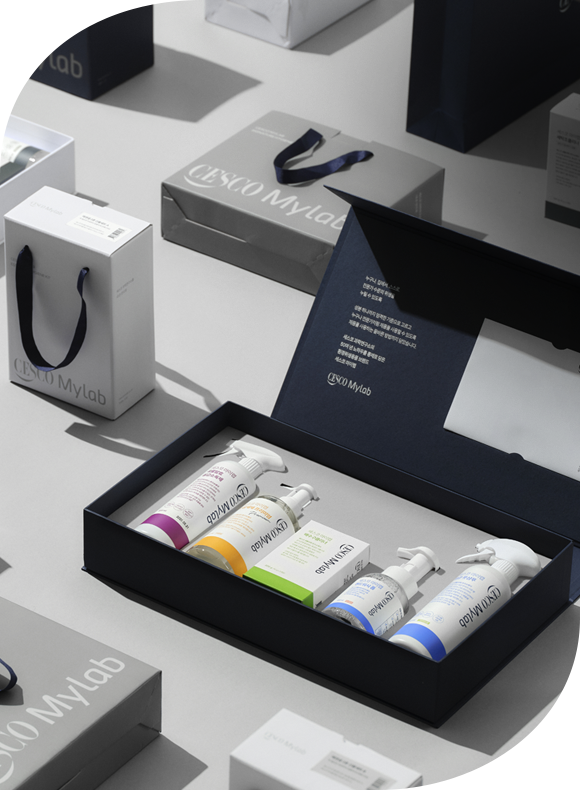 메인비주얼 이미지