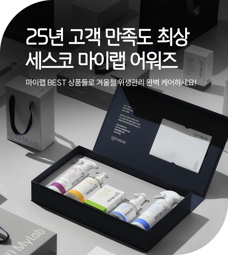 메인비주얼 이미지