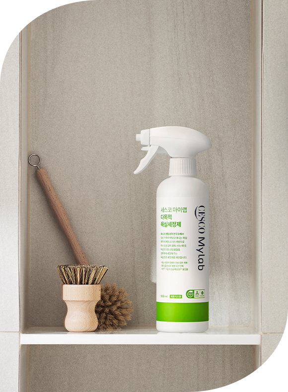 메인비주얼 이미지