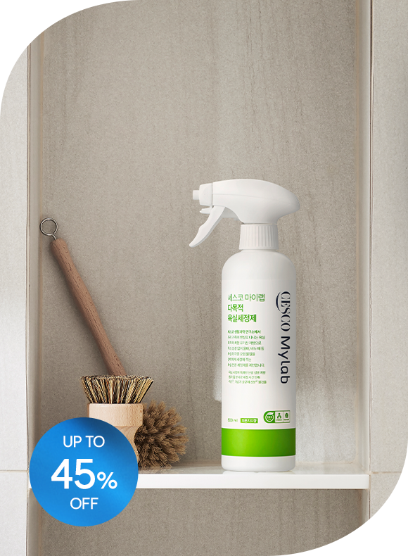 메인비주얼 이미지