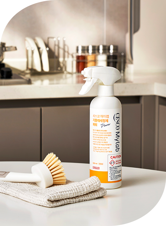 메인비주얼 이미지