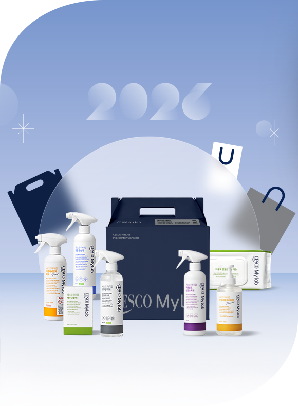 메인비주얼 이미지