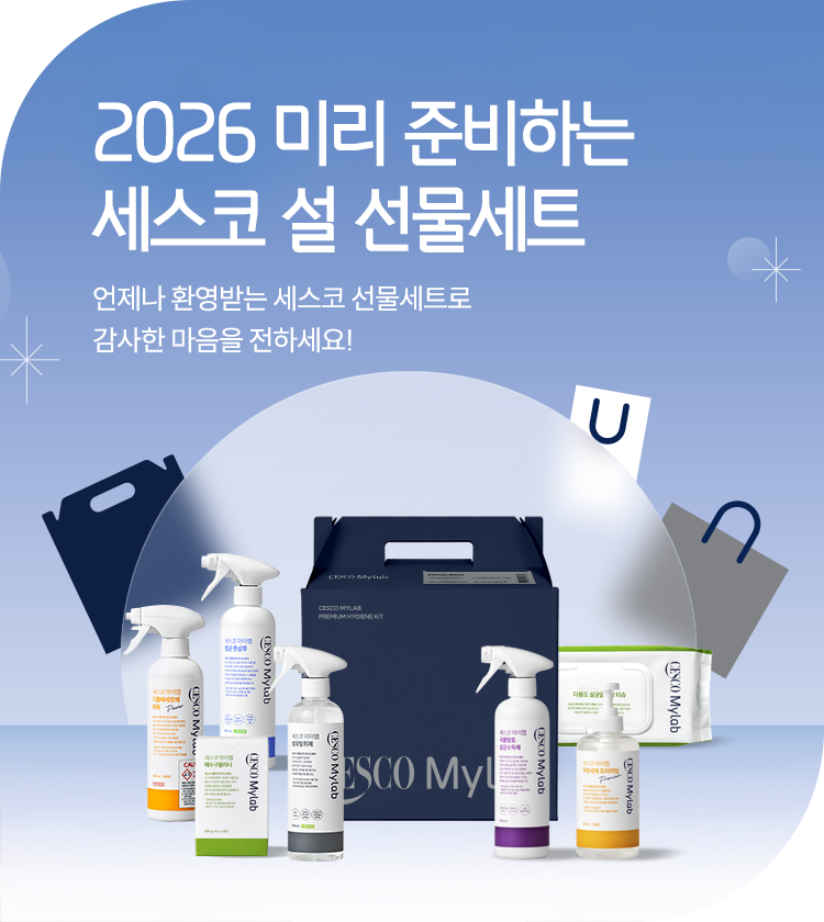 메인비주얼 이미지