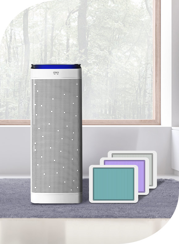 메인비주얼 이미지