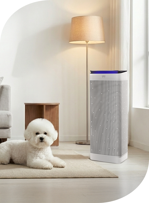 메인비주얼 이미지