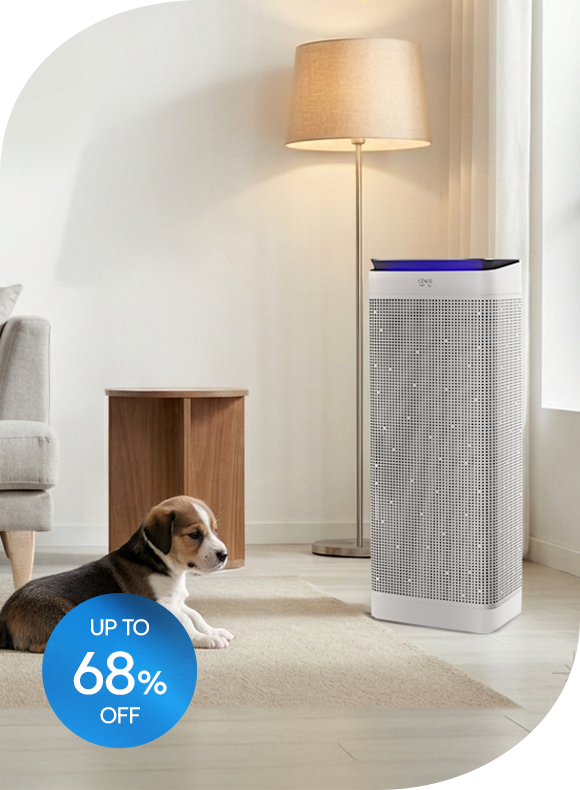 메인비주얼 이미지