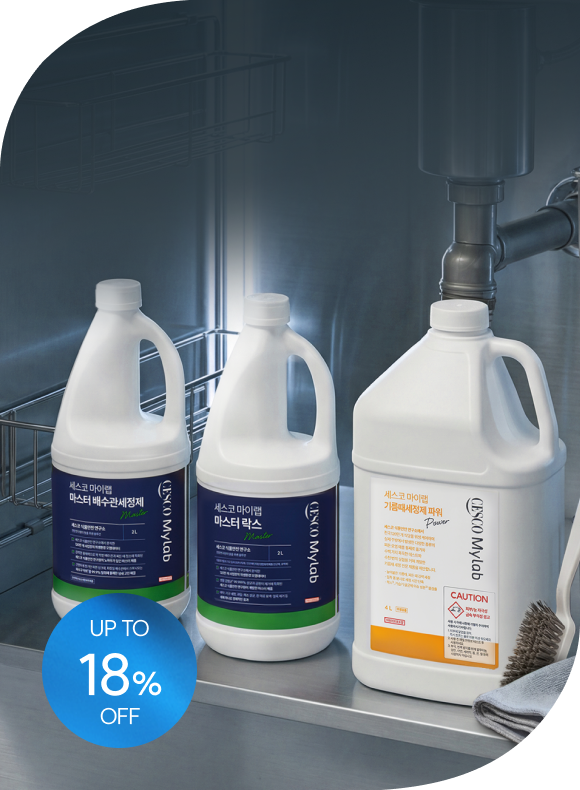 메인비주얼 이미지