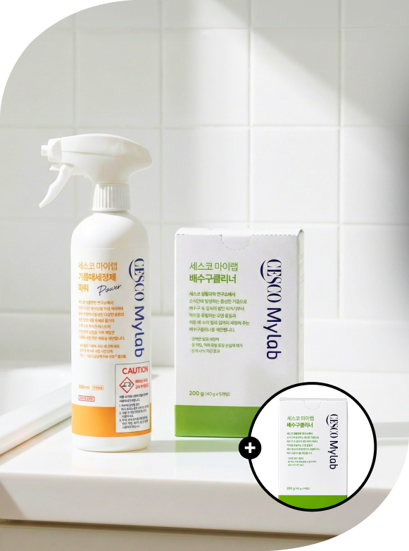 메인비주얼 이미지