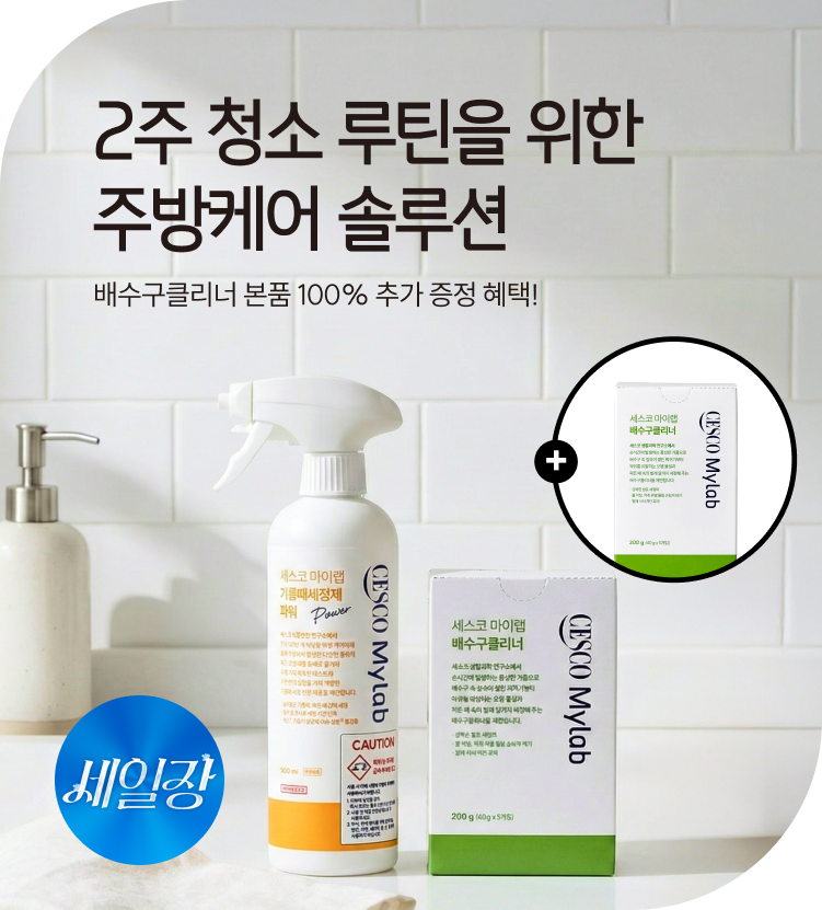 메인비주얼 이미지