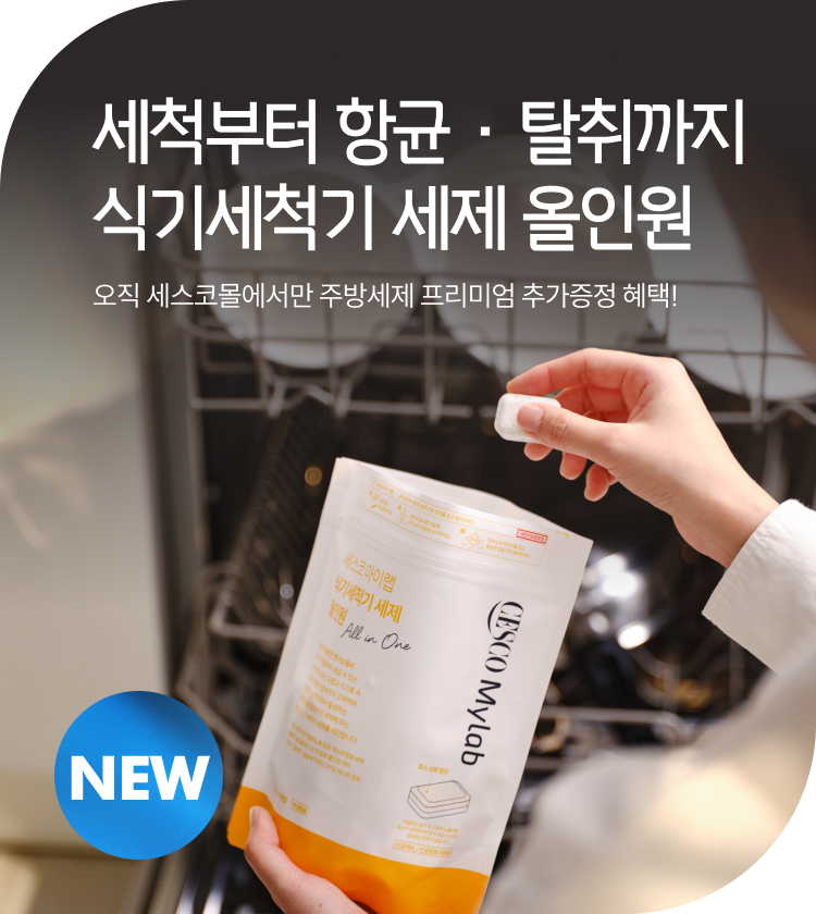 메인비주얼 이미지