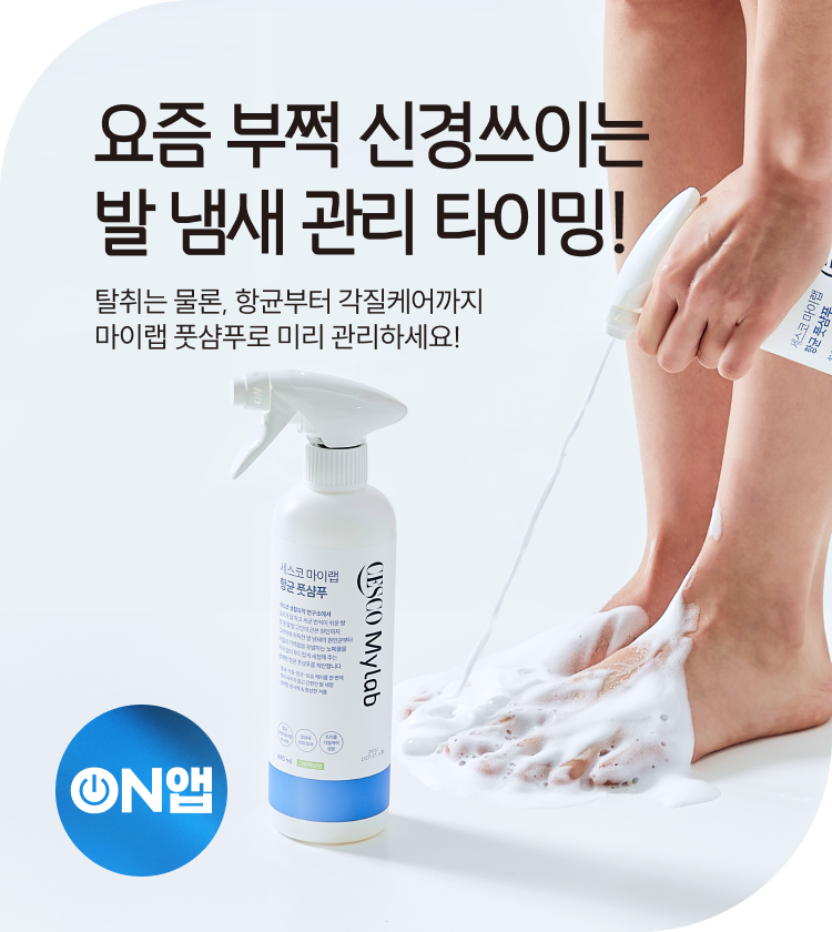 메인비주얼 이미지