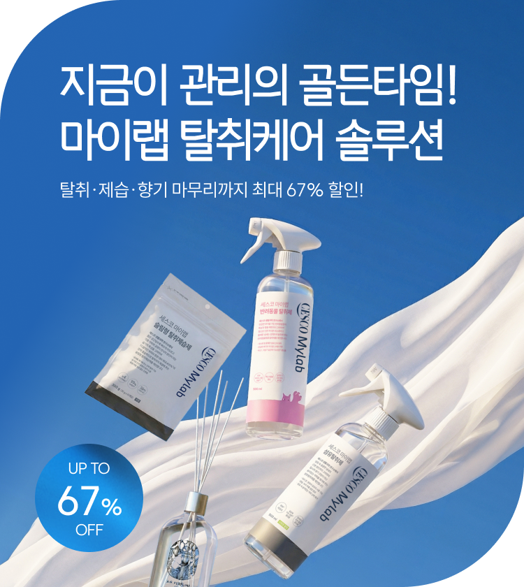 메인비주얼 이미지