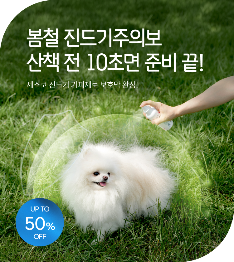 메인비주얼 이미지