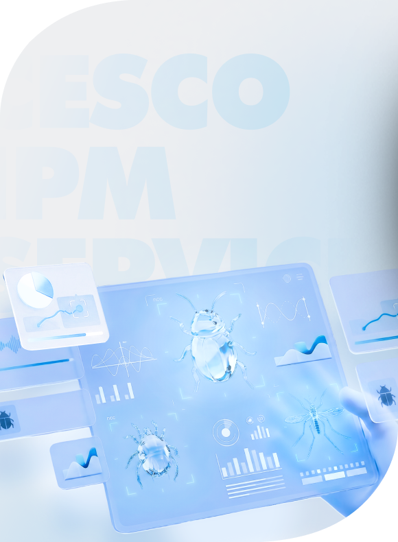 메인비주얼 이미지