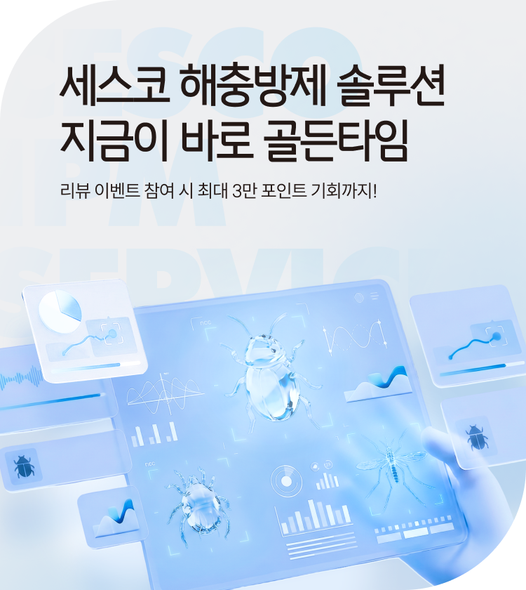 메인비주얼 이미지