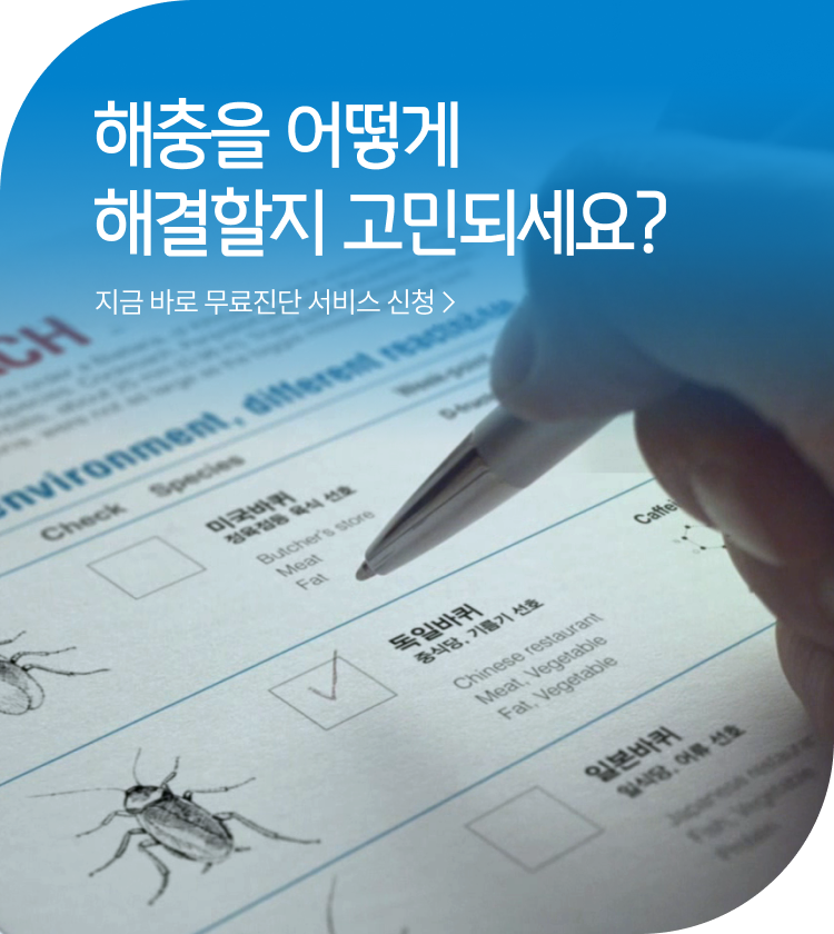 메인비주얼 이미지
